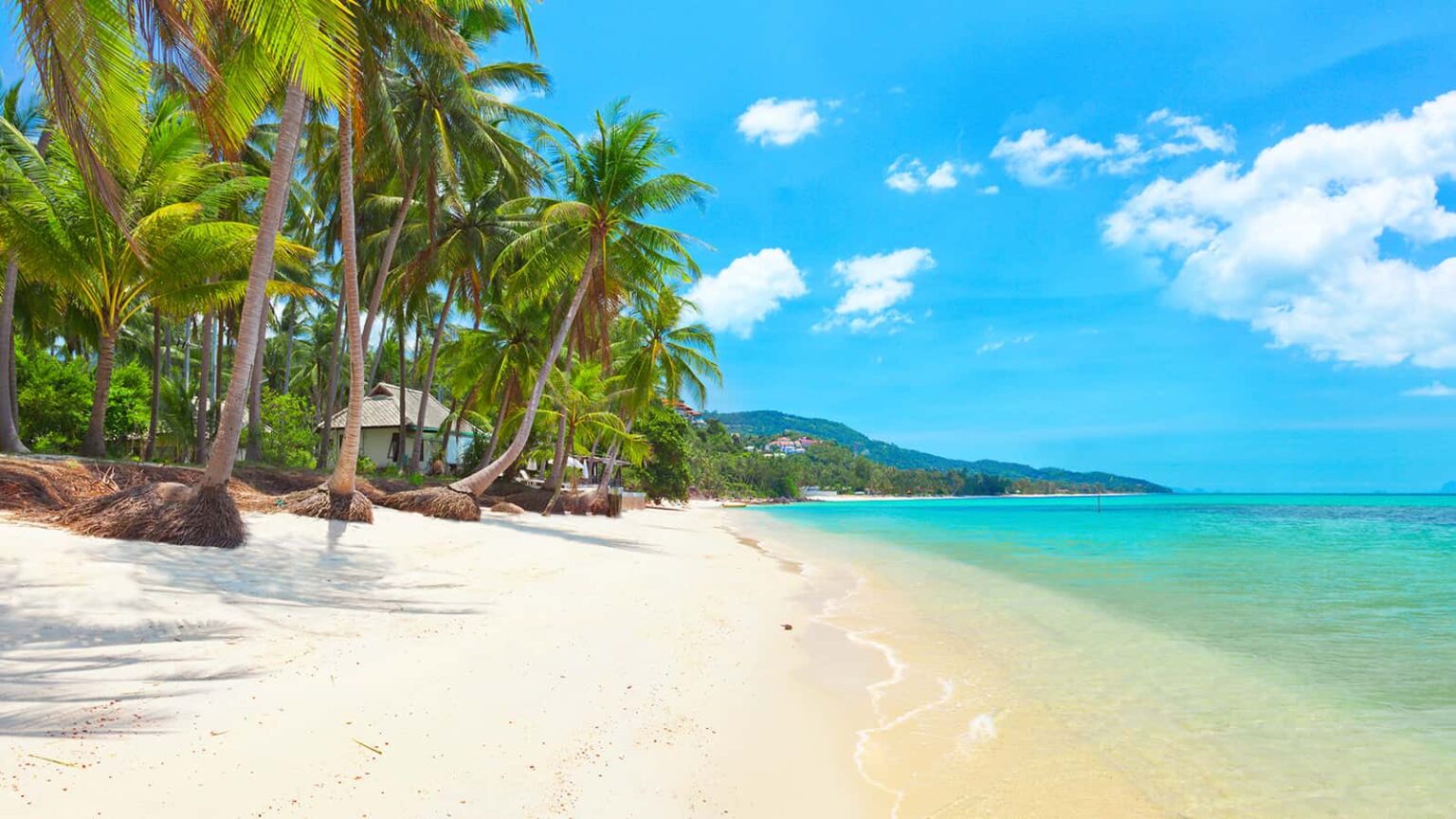 Koh Samui Nightlife 10 Best Spots for Clubbing, Live Music, and Cocktails Thai Holidays