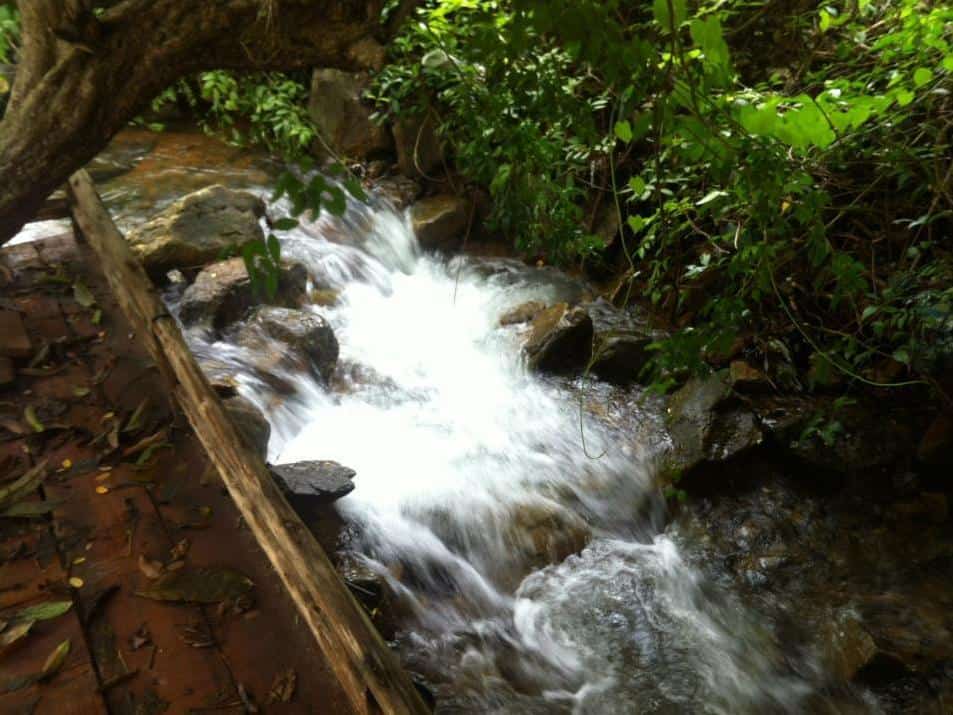 Jungle Garden, Koh Chang, Trat