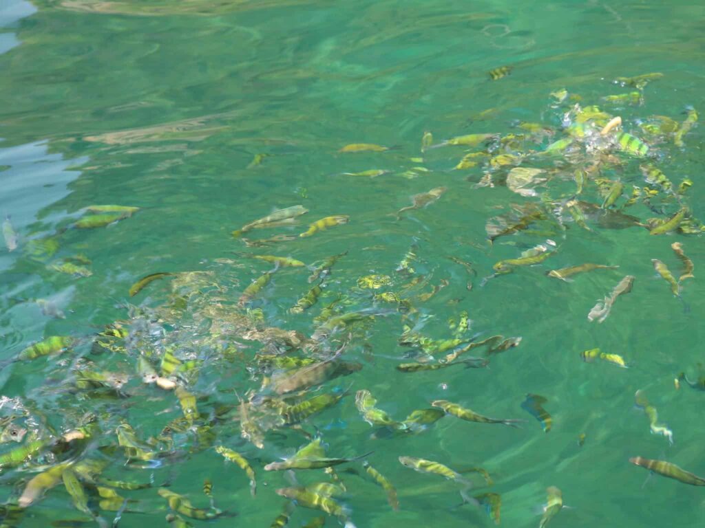 Mook Lamai Resort and Spa, Trang, Trang